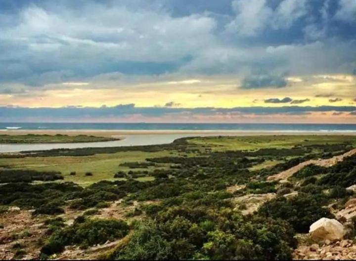 Bel Appartement A 5Min De La Plage Ταγγέρη Εξωτερικό φωτογραφία